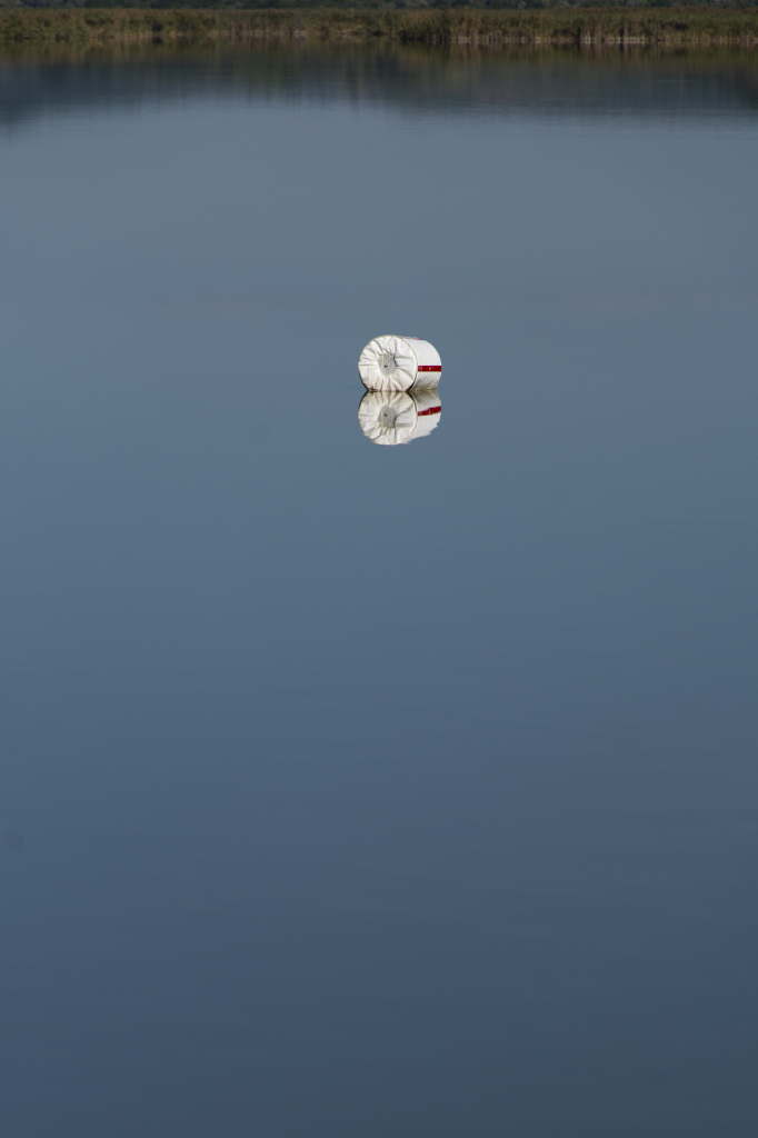 A solitary buoy reflected on still water.
