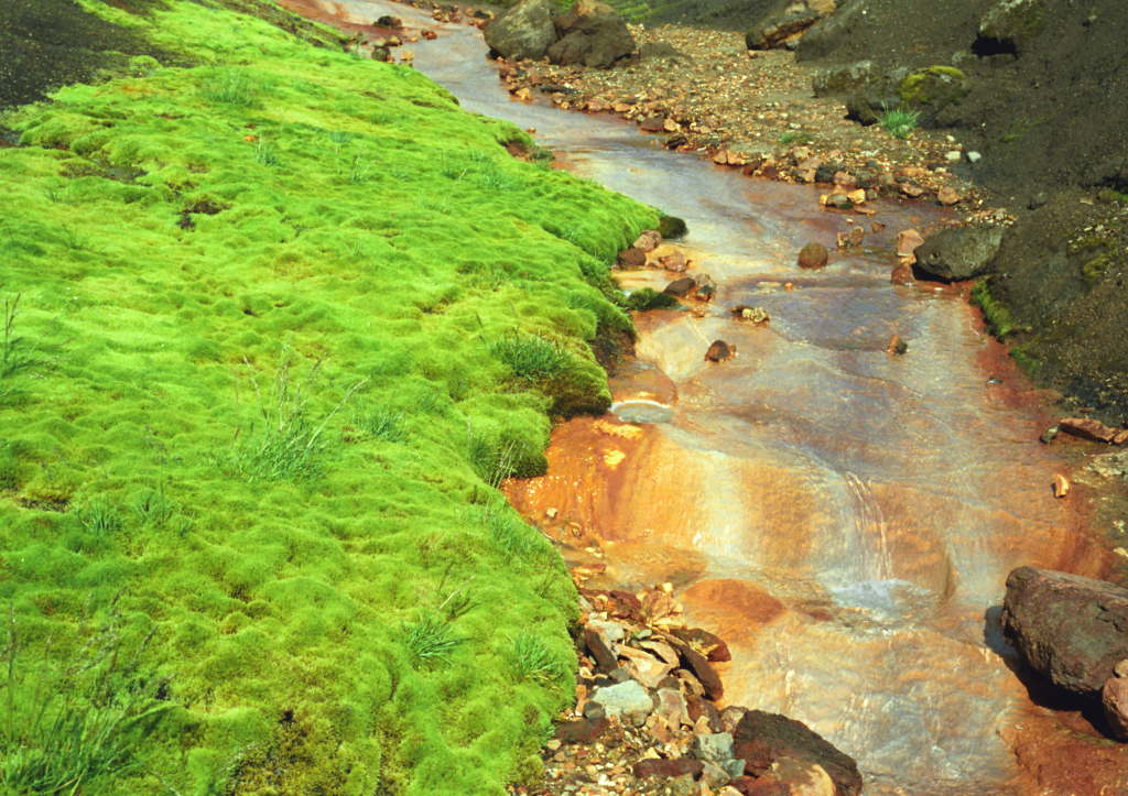 Bright green moss beside a mineral-stained stream.